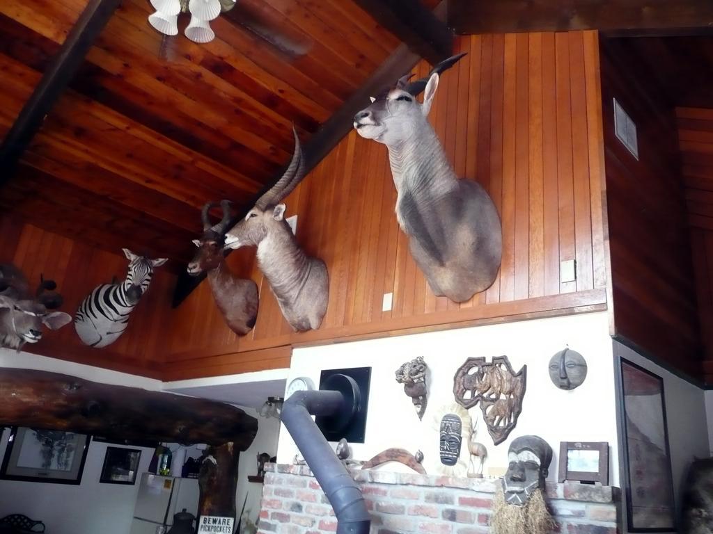 Whitebird Summit Lodge Grangeville Ngoại thất bức ảnh
