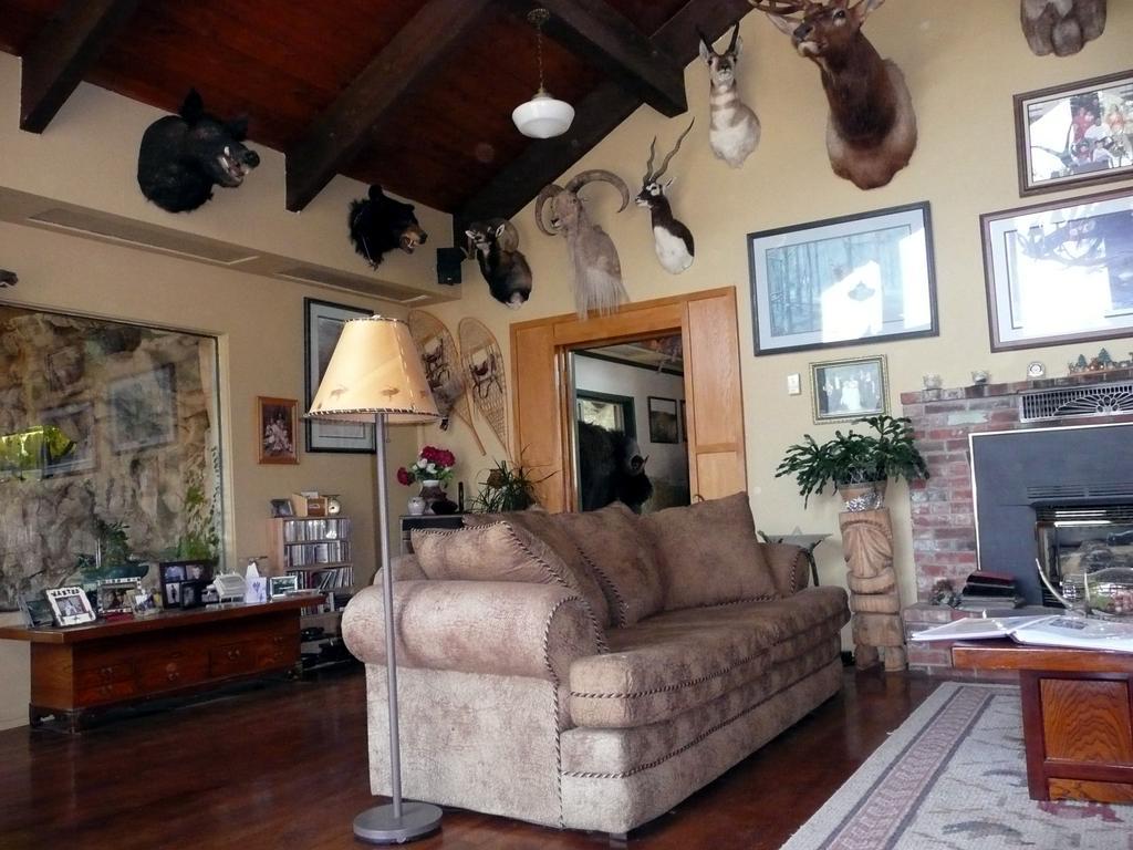 Whitebird Summit Lodge Grangeville Ngoại thất bức ảnh