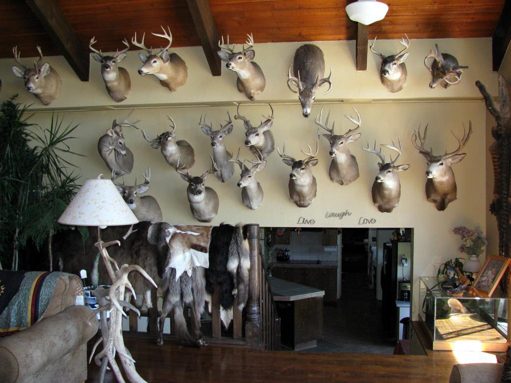 Whitebird Summit Lodge Grangeville Ngoại thất bức ảnh