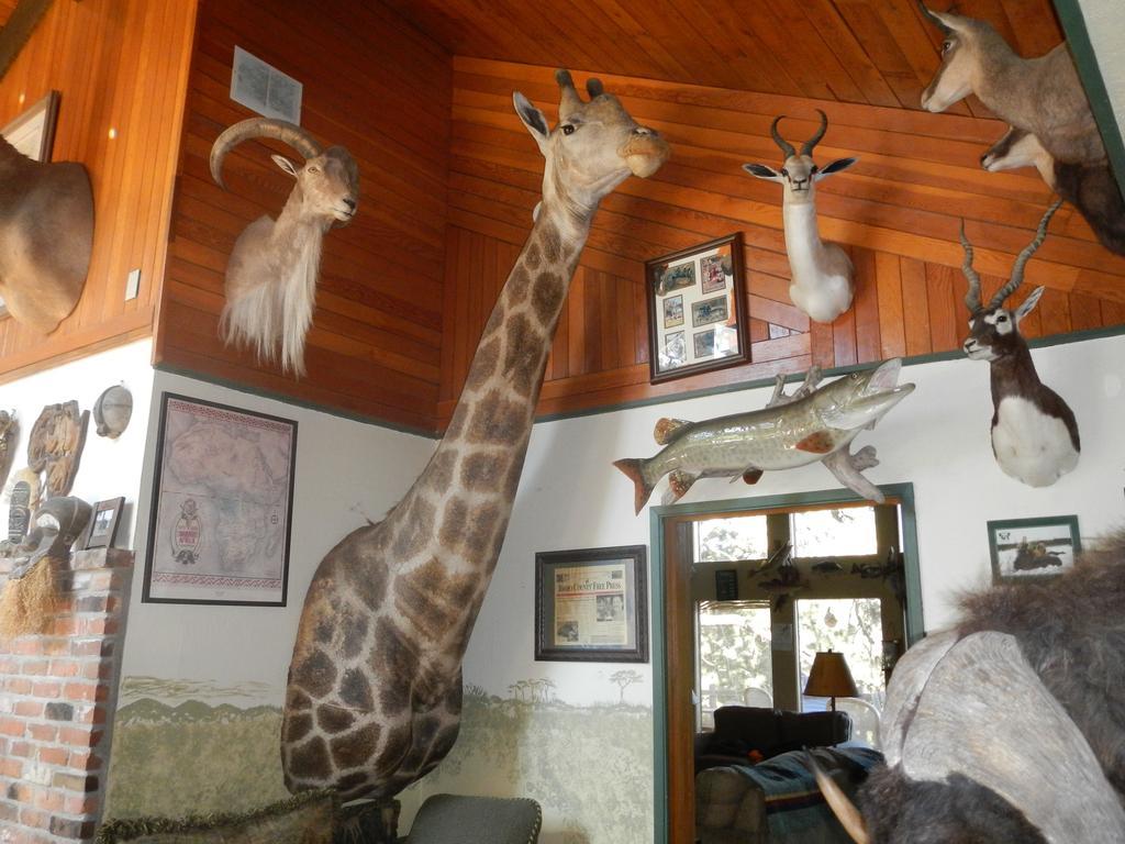 Whitebird Summit Lodge Grangeville Ngoại thất bức ảnh